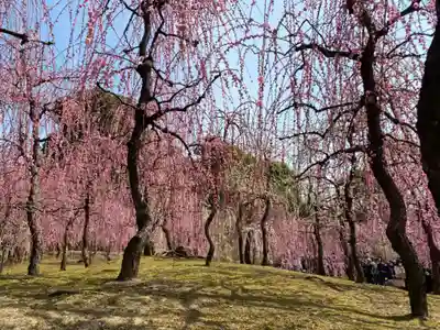 城南宮(京都府)