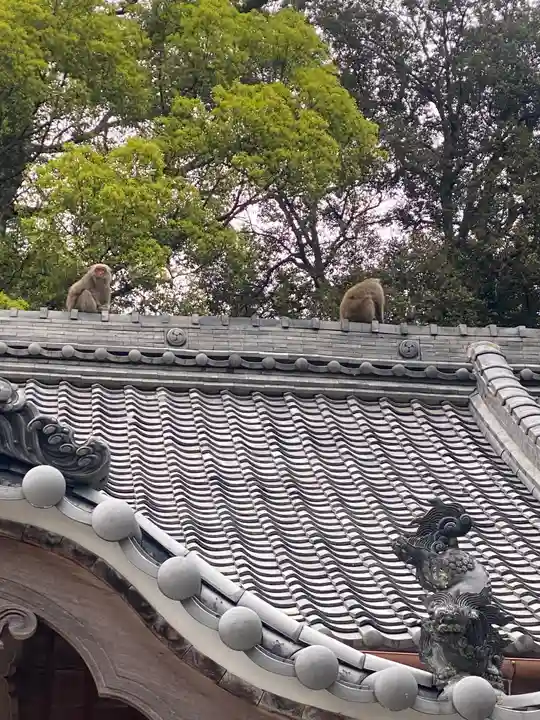 尾鷲神社(三重県)