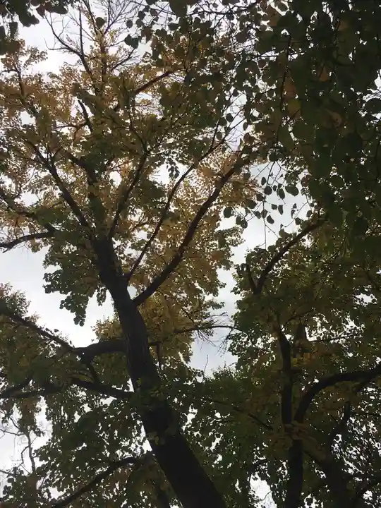 錦山天満宮の自然