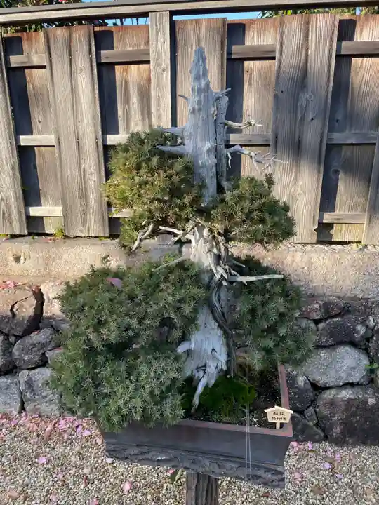 龍泉庵(京都府)