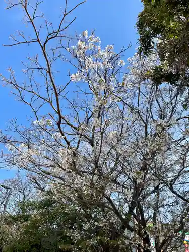 御島神社(福岡県)