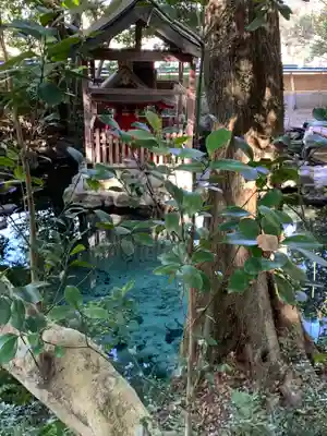泉神社の末社・摂社
