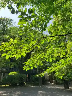乃木神社(東京都)