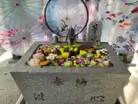 札幌諏訪神社の手水舎