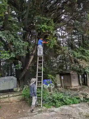 伏木香取神社(茨城県)