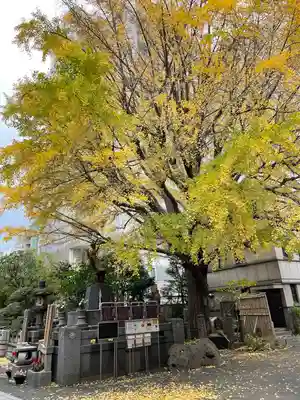 回向院(東京都)