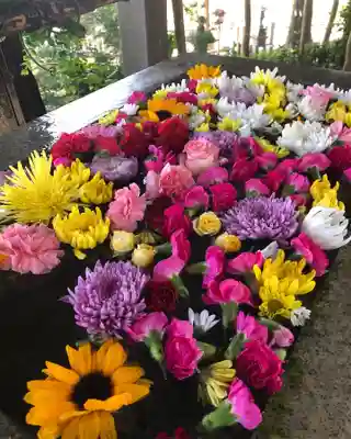 糀谷八幡宮の手水舎