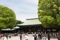 明治神宮(東京都)