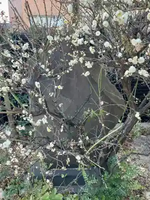 妙典寺の{uncategorized: "未分類", other: "その他", undefined: "問題あり", building: "その他建物", grave: "お墓", sacred_gate: "鳥居", guardian: "狛犬", statue: "像", buddha: "仏像", history: "歴史", nature: "自然", garden: "庭園", animal: "動物", pagoda: "塔", temizu: "手水舎", mountain_gate: "山門・神門", sanctuary: "本殿・本堂", subordinate: "末社・摂社", art: "芸術", scenery: "景色", jizo: "地蔵", ema: "絵馬", goshuin: "御朱印", omikuji: "おみくじ", items: "授与品その他", amulet: "お守り", goshuincho: "御朱印帳", eats: "食事", festival: "お祭り", votive_dance: "神楽", shichigosan: "七五三参", wedding: "結婚式", experience: "体験その他", initially: "初詣", around: "周辺", anti_infection: "感染症対策"}