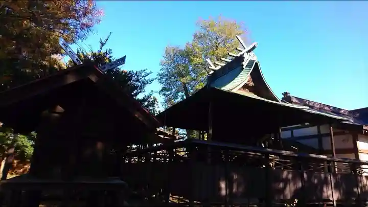 大和田氷川神社の本殿・本堂