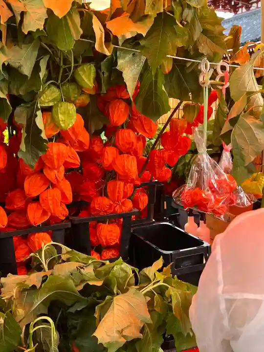浅草寺(東京都)