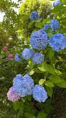 福母八幡宮(佐賀県)