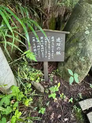 河口浅間神社(山梨県)