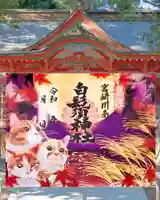 白鬚神社の御朱印