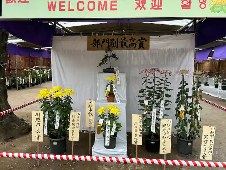 喜多院(埼玉県)