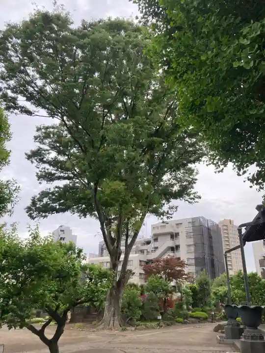 瑞円寺(東京都)