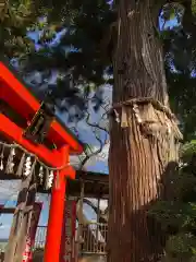 愛宕神社(宮城県)