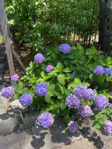 菊田神社(千葉県)