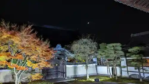 妙顯寺（妙顕寺）(京都府)