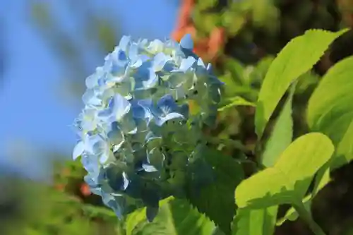 豊景神社の自然