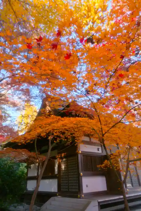 高幡不動尊 金剛寺(東京都)
