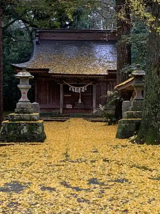 子安神社の本殿・本堂