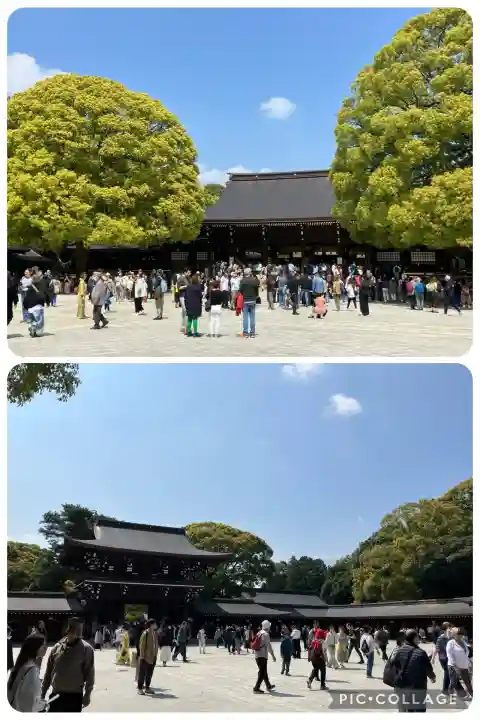 明治神宮(東京都)