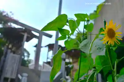 伊勢山皇大神宮(神奈川県)