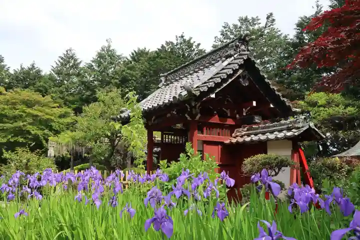 延算寺(岐阜県)