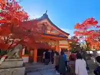 紅葉八幡宮の本殿・本堂