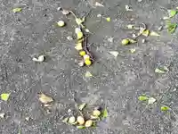 多爲神社(三重県)