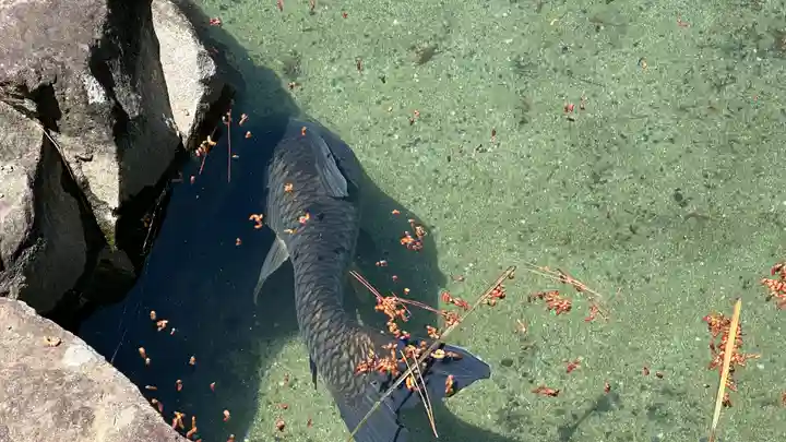 甲斐善光寺(山梨県)