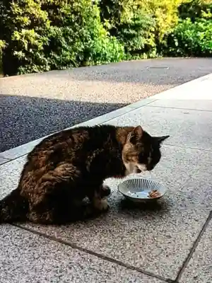 白金氷川神社(東京都)