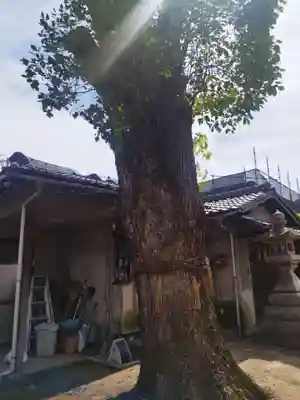 高瀬神社(大阪府)