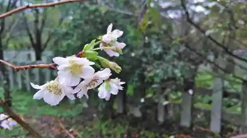 平野神社(京都府)
