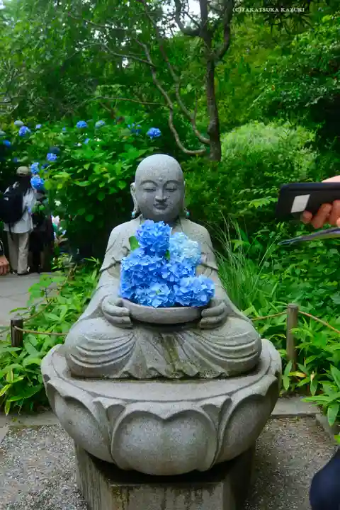 明月院(神奈川県)