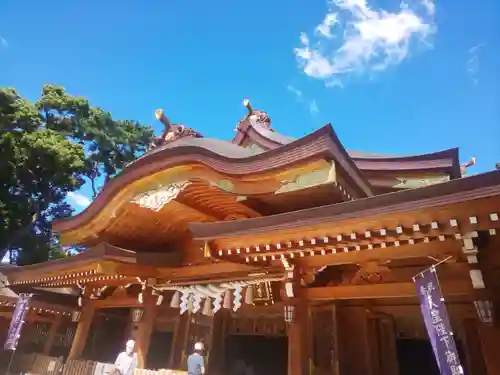 亀ケ池八幡宮の本殿・本堂