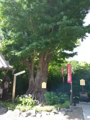 鎮護堂(東京都)