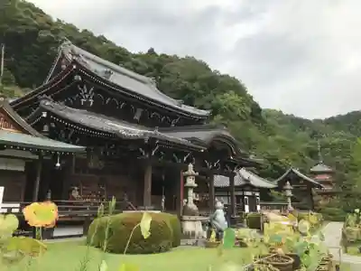 三室戸寺の本殿・本堂