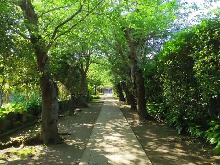 極楽寺(霊鷲山感應院極楽律寺)のその他建物