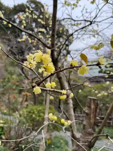 報国寺(神奈川県)