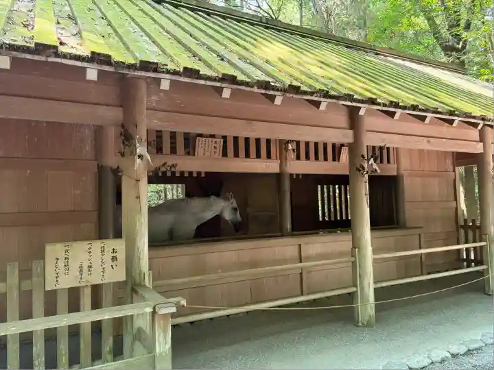 伊勢神宮外宮(豊受大神宮)(三重県)