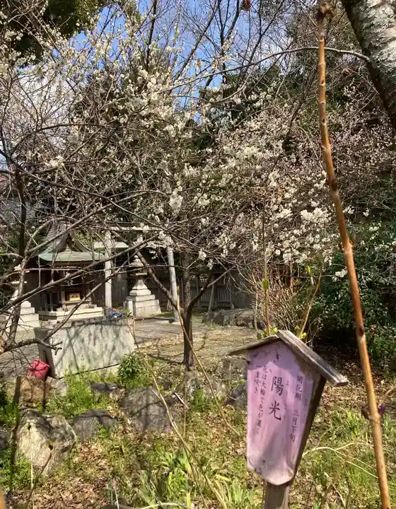 平野神社(京都府)