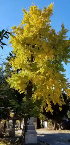 下総府中六所神社(千葉県)