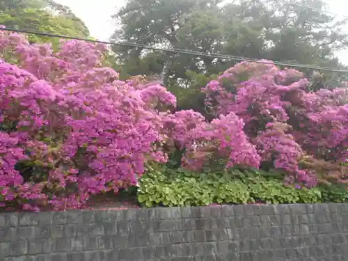 安養院　(田代寺）の周辺