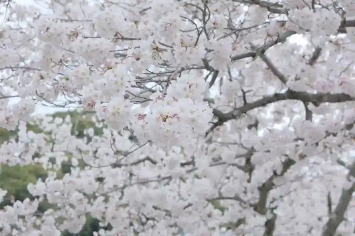 粉河寺(和歌山県)