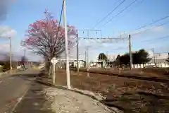 白老八幡神社(北海道)