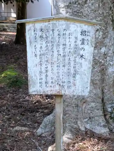 若狭姫神社（若狭彦神社下社）の{uncategorized: "未分類", other: "その他", undefined: "問題あり", building: "その他建物", grave: "お墓", sacred_gate: "鳥居", guardian: "狛犬", statue: "像", buddha: "仏像", history: "歴史", nature: "自然", garden: "庭園", animal: "動物", pagoda: "塔", temizu: "手水舎", mountain_gate: "山門・神門", sanctuary: "本殿・本堂", subordinate: "末社・摂社", art: "芸術", scenery: "景色", jizo: "地蔵", ema: "絵馬", goshuin: "御朱印", omikuji: "おみくじ", items: "授与品その他", amulet: "お守り", goshuincho: "御朱印帳", eats: "食事", festival: "お祭り", votive_dance: "神楽", shichigosan: "七五三参", wedding: "結婚式", experience: "体験その他", initially: "初詣", around: "周辺", anti_infection: "感染症対策"}