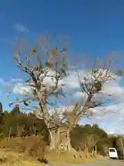 高尾神社の自然