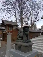 札幌諏訪神社の狛犬